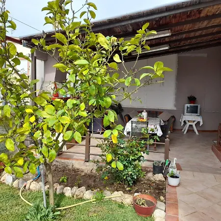 Vangelis Apartament Nea Plagia