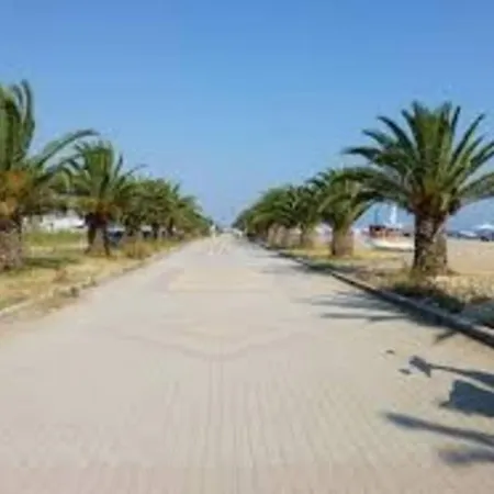Vangelis Nea Plagia